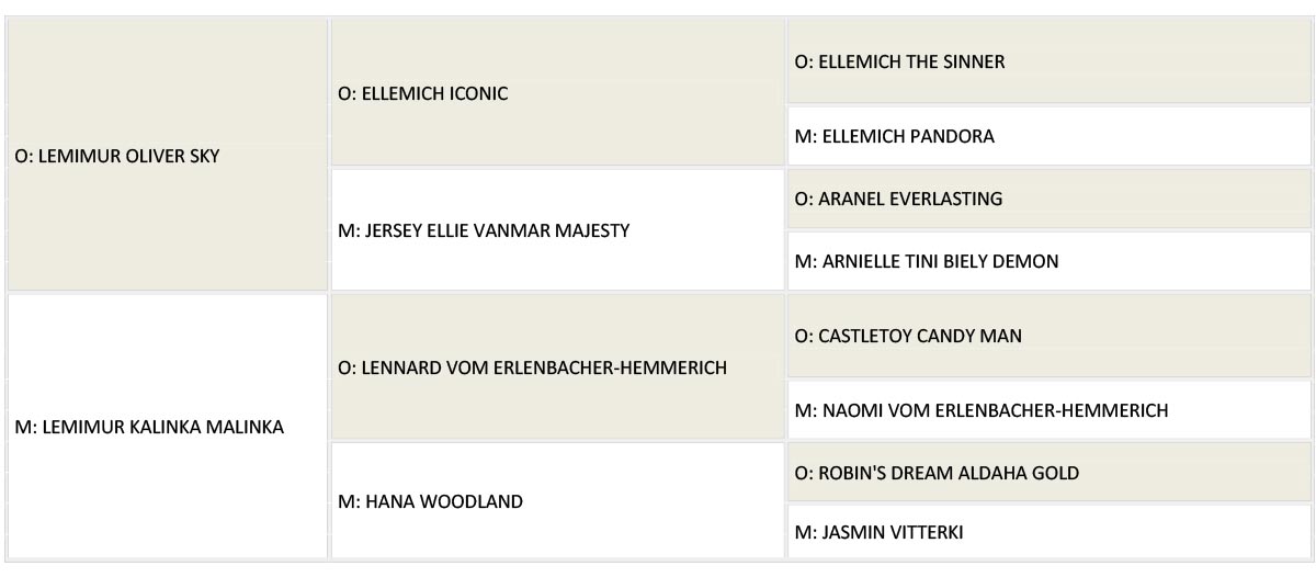 dariuszek rodowod www