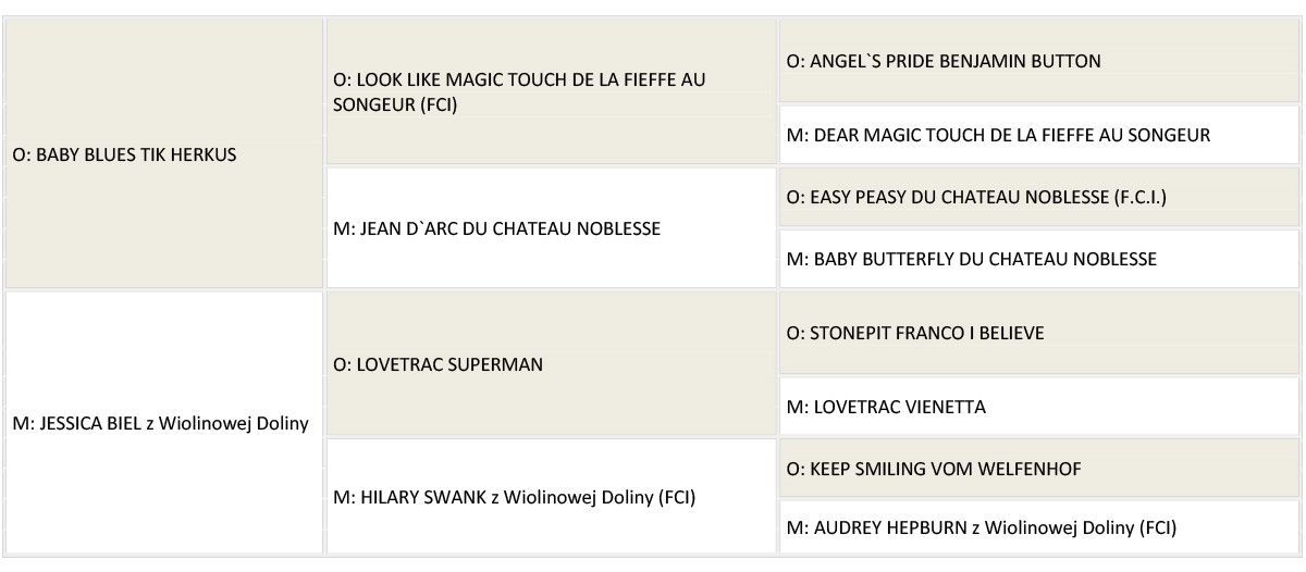 JAZZ JAMBOREE rodowod www