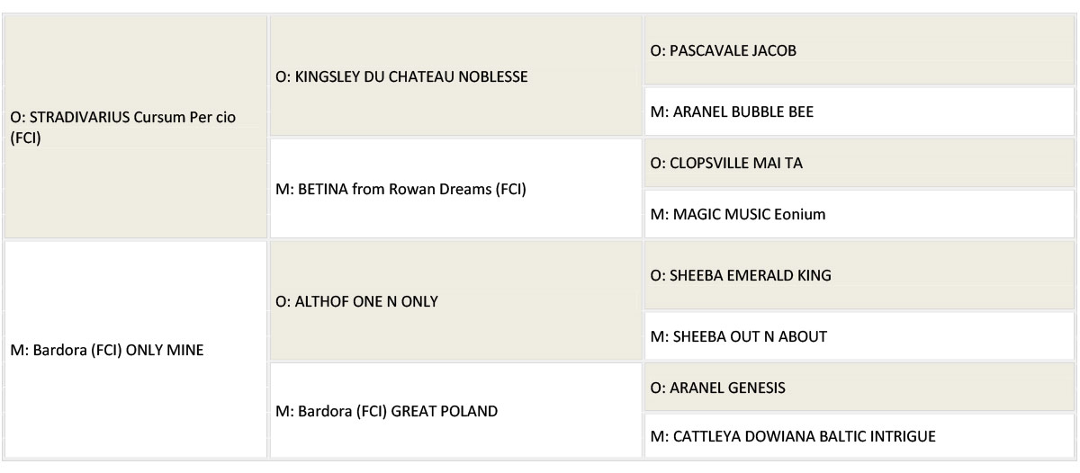 LOVE YOU rodowod www