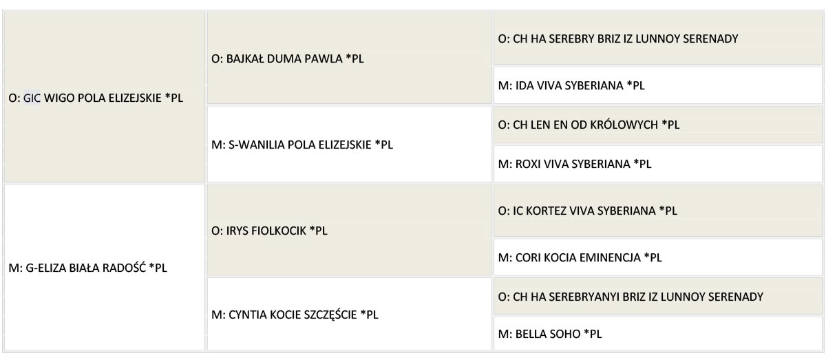 obsesja rodowod www1