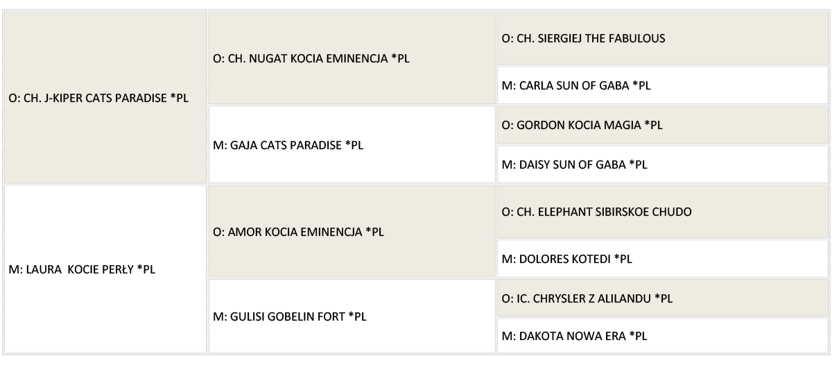 RomeoJulia rodowod www